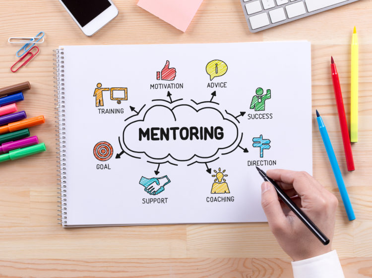 creating mentoring program for your small biz