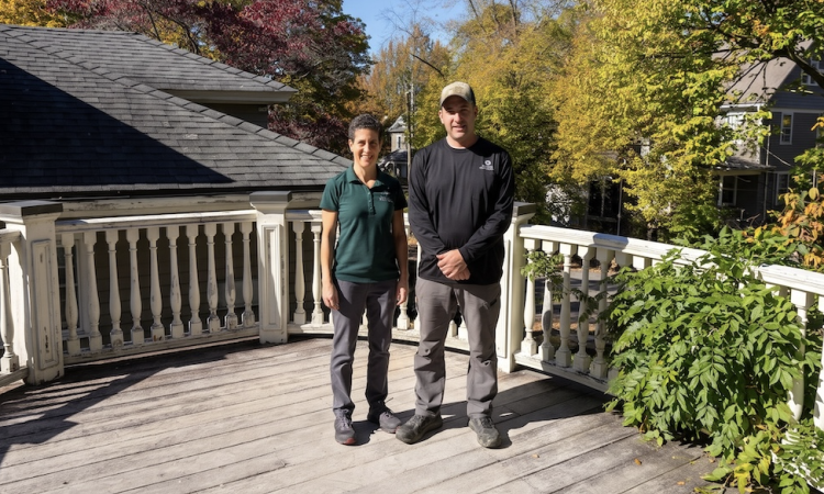Aloise builders